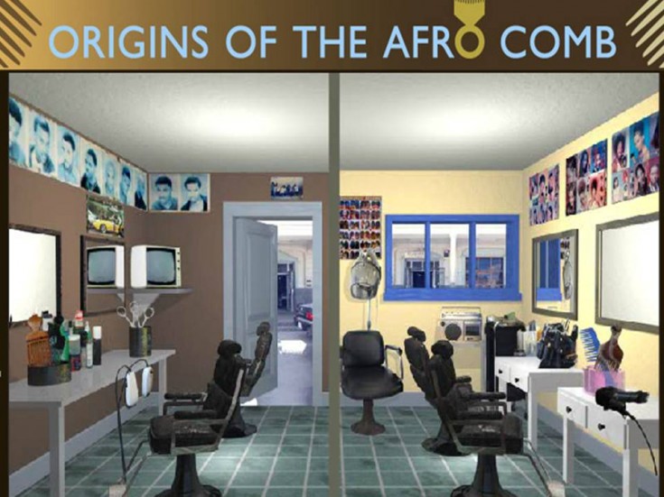 Origins of the AfroComb Project 