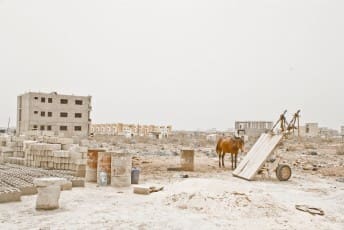 Serie Sahel Gris. Mame Diarra Niang