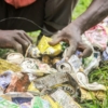 ‘Garbage Collectors’: arte, reciclaje y cambio social en Uganda