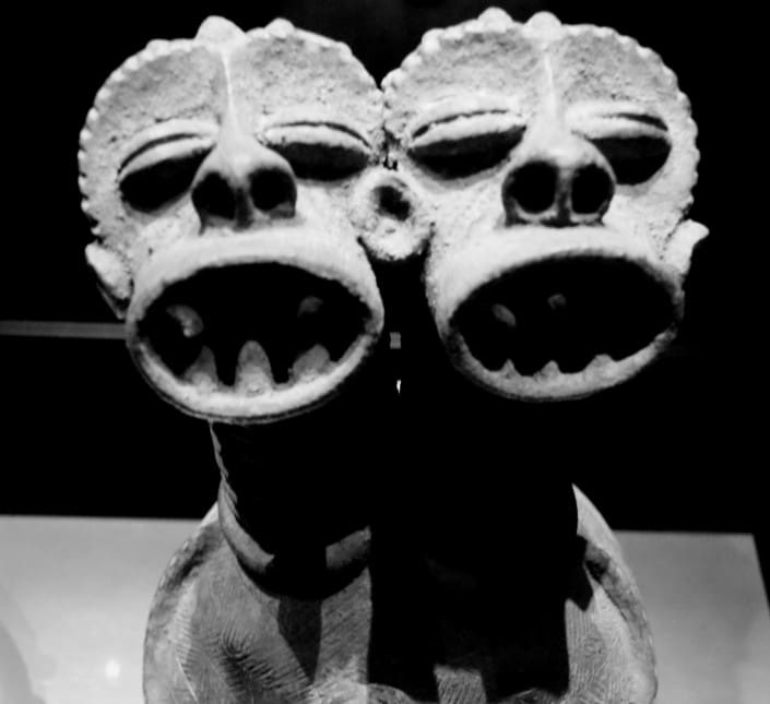 Gemelos Mambila