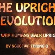 translation issue destacado