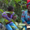 Orígenes y descendientes, un retrato de la diversidad étnica de Guinea Ecuatorial