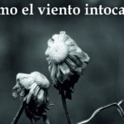 Portada_Como el viento