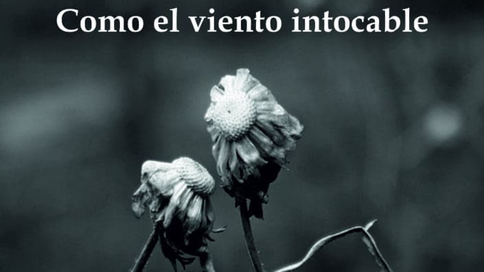 Portada_Como el viento