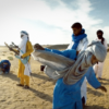 Tinariwen: guitarras contra elefantes