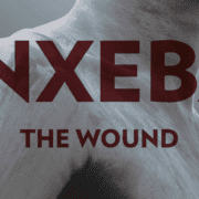 The-Wound-620×330