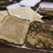 252321a4e686ec94b4ee9330354b3040