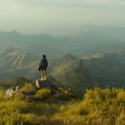 lamb5-1600×900-c-default (1)