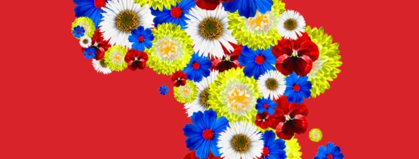 Montserrat Anguiano Identitat: el procés de la meva negritud,